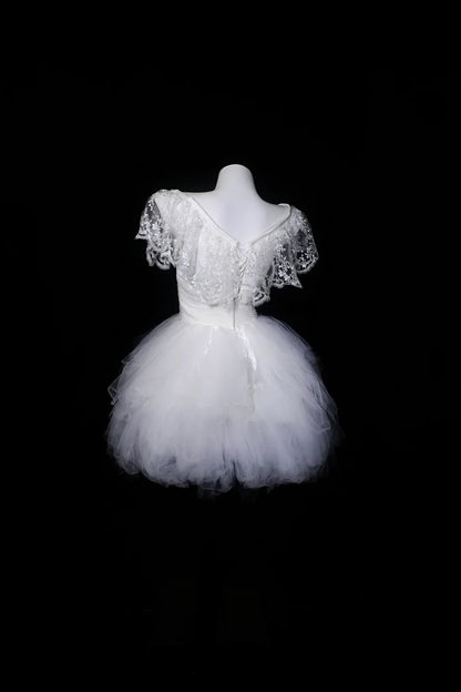 White Off Shoulder Lace Tulle Mini Dress Floral Embroidery Homecoming Dress F0249