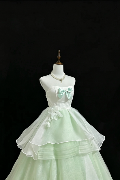 Mint Green Strapless Tulle Gown Bow Floral Fall Formal Dress F0100